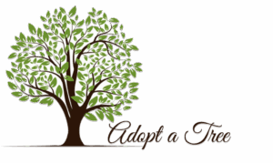 Adopt a tree