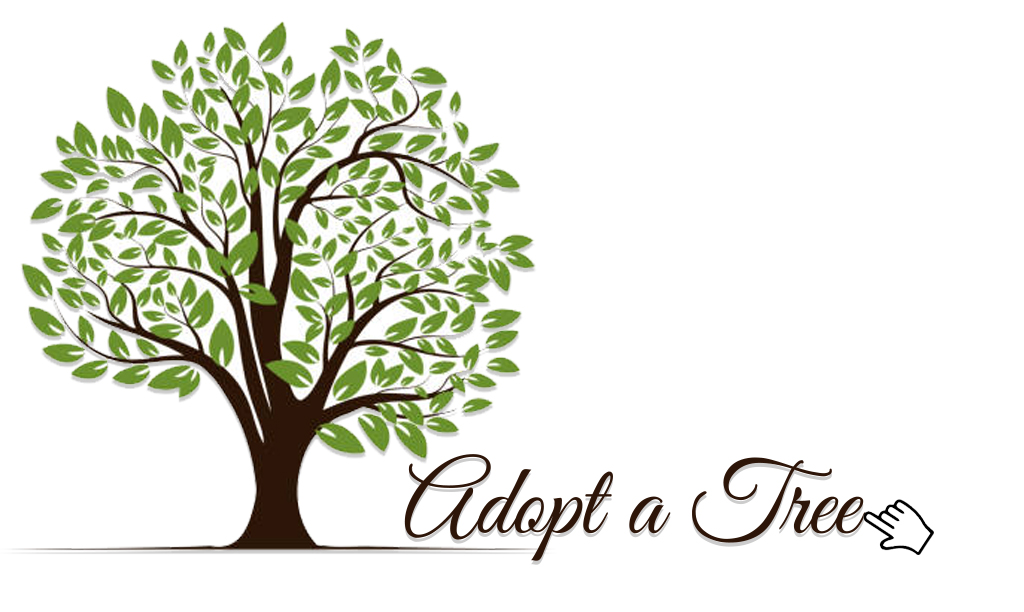 adopt a tree