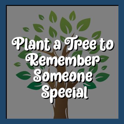 Plant a Tree to Remember Someone Special