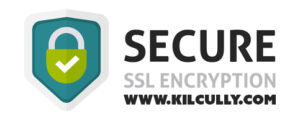 ssl cert logo